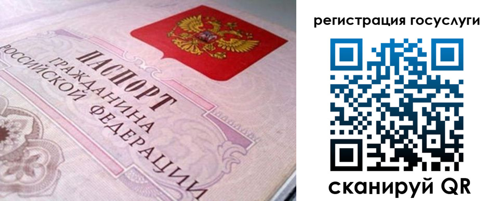 где прописаться в Калининградской области